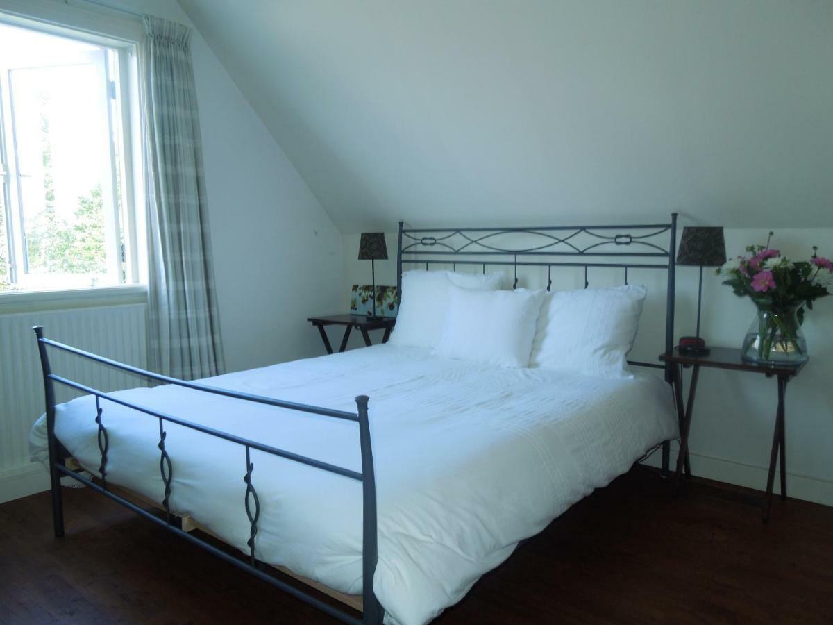 Bed & Breakfast Frans Hals Haarlem Kültér fotó